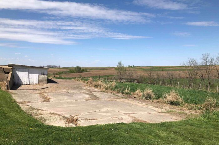 Feeding Floor Cleanup & Fence Removal