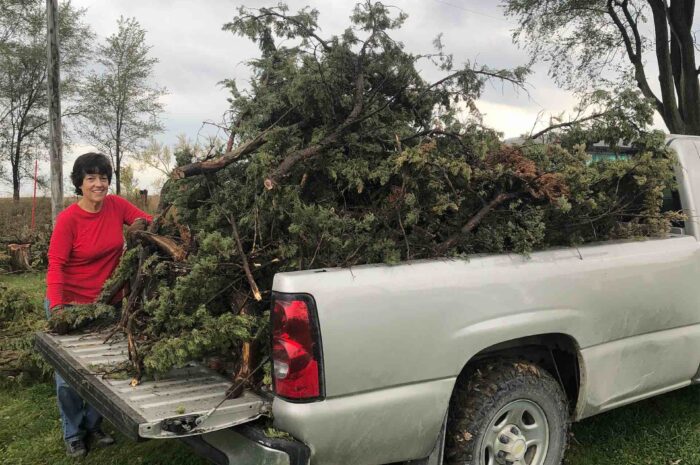 Red Cedar Cleanup & Metal Recycling